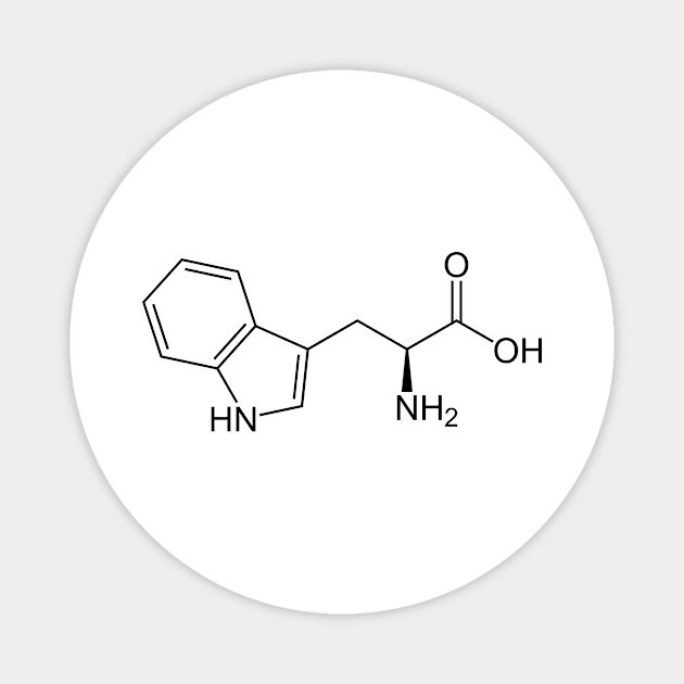 Tryptophan Molecule Magnet by Calculated